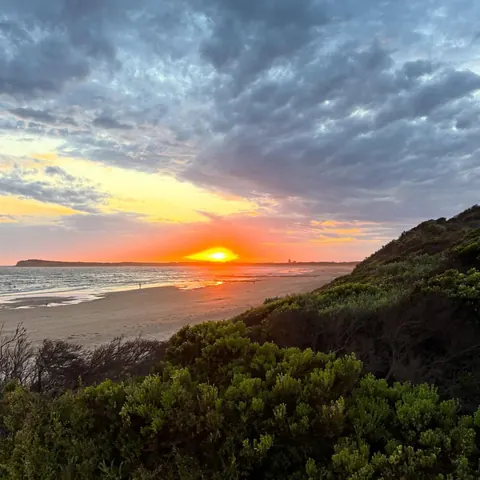 The sun setting over the sea beyond coastal scrub