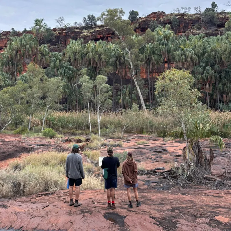Three friends walking across red rock towards a gorge full of green palms